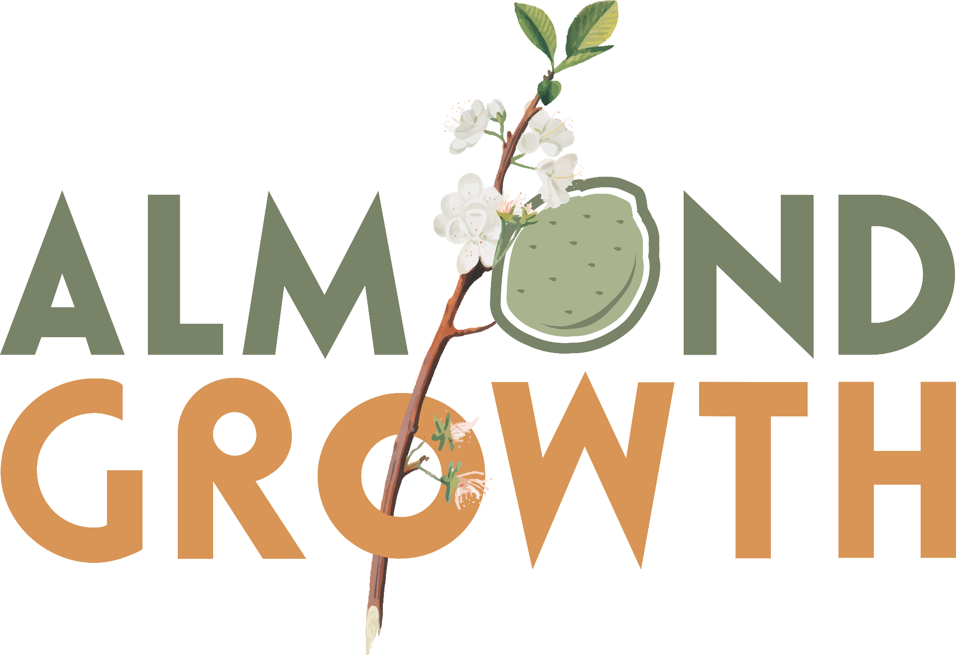 Almond Growth